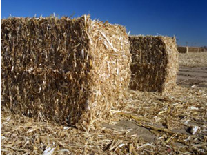 agricultural wastes corn stover